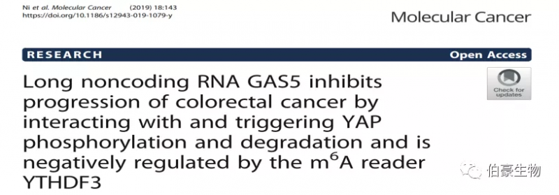 RNA 甲基化測序 m6a 甲基化測序 伯豪生物甲基化服務客戶發(fā)文 