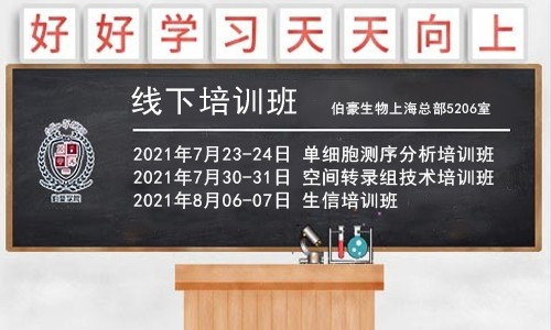重磅！暑期系列培訓(xùn)班開課通知，6 月報(bào)名可享優(yōu)惠！