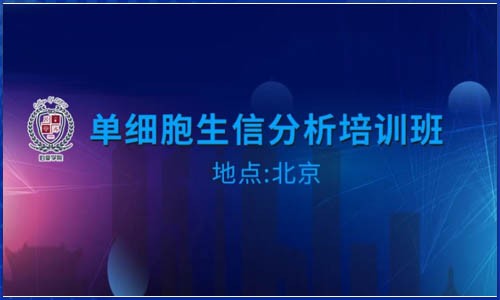 培訓(xùn)班報(bào)名 | 單細(xì)胞生信分析線下培訓(xùn)班火熱報(bào)名中！