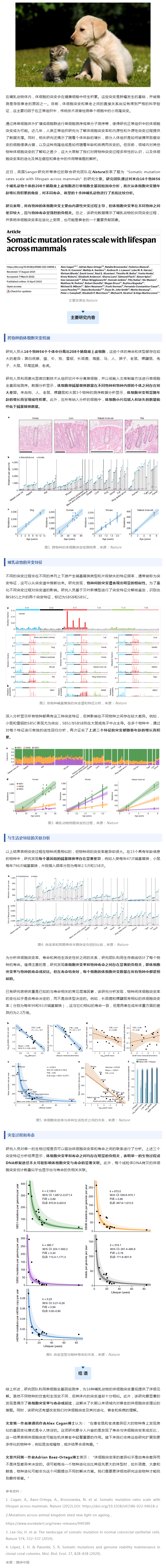 Nature _ 為何動(dòng)物的壽命差異那么大？跨物種單細(xì)胞測(cè)序揭示長(zhǎng)壽密碼