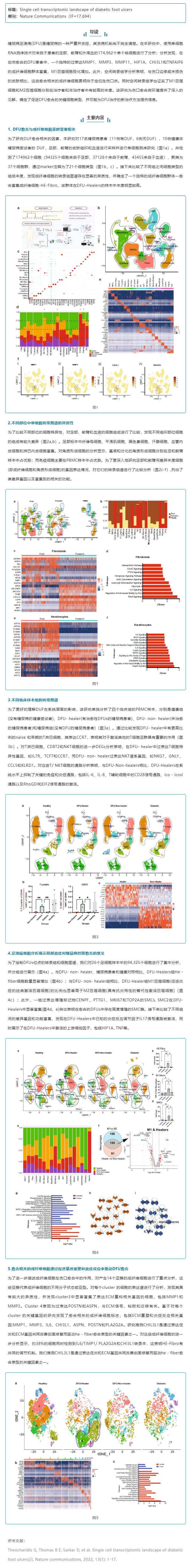 文獻解讀_糖尿病足潰瘍的單細胞轉(zhuǎn)錄圖譜