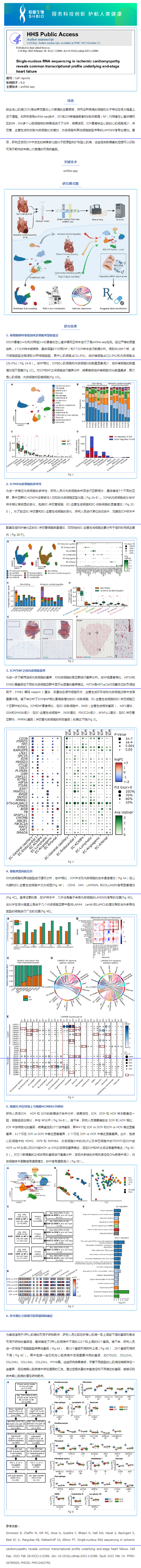 文獻(xiàn)解讀 _ 缺血性心肌病患者的單核 RNA 測(cè)序顯示終末期心力衰竭的共同轉(zhuǎn)錄模式
