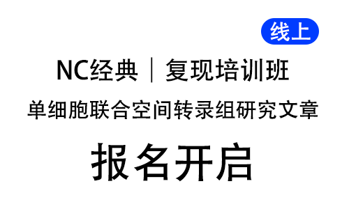 NC 經(jīng)典單細胞聯(lián)合空間轉(zhuǎn)錄組研究文章復現(xiàn)培訓班，線上開啟！