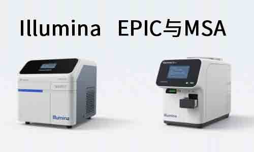 甲基化芯片平臺(tái)怎么選？Illumina EPIC 與 MSA 的全面對(duì)比與應(yīng)用指南